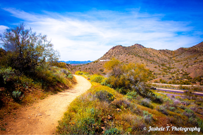 Mountain Trail Path